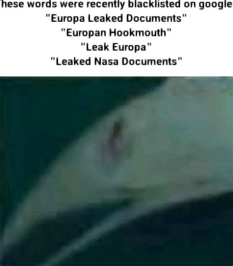 europa leaked documents|Life On Europa Leaked Documents / Europan Hookmouth Hoax